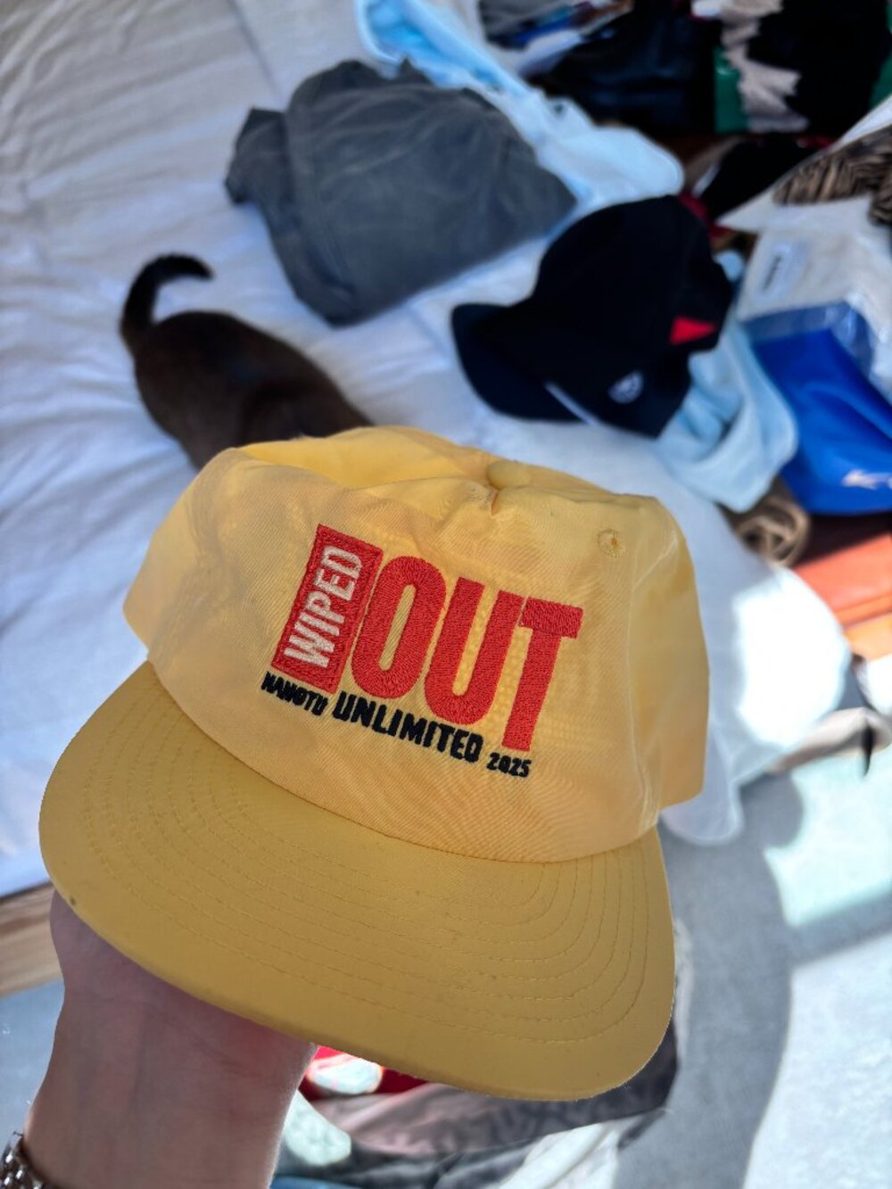 Wiped Out Hat